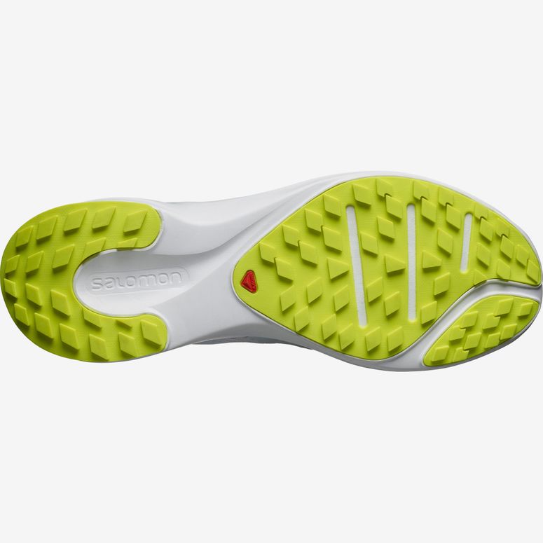 Кросівки Salomon SENSE FLOW чоловічі - 2