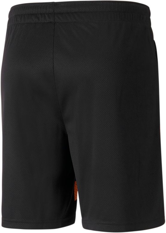Шорты Puma FCSD Training Shorts мужские - 2