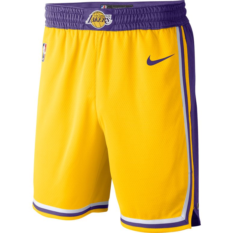 Шорты Nike LOS ANGELES LAKERS ICON EDITION мужские - 1
