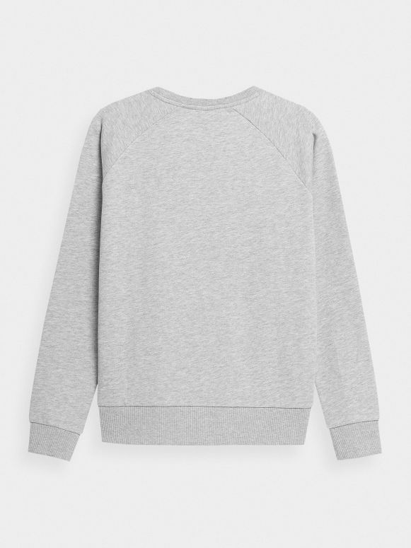 Джемпер 4F SWEATSHIRT  F370 - 3