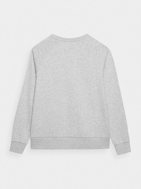 Джемпер 4F SWEATSHIRT  F370 - 4