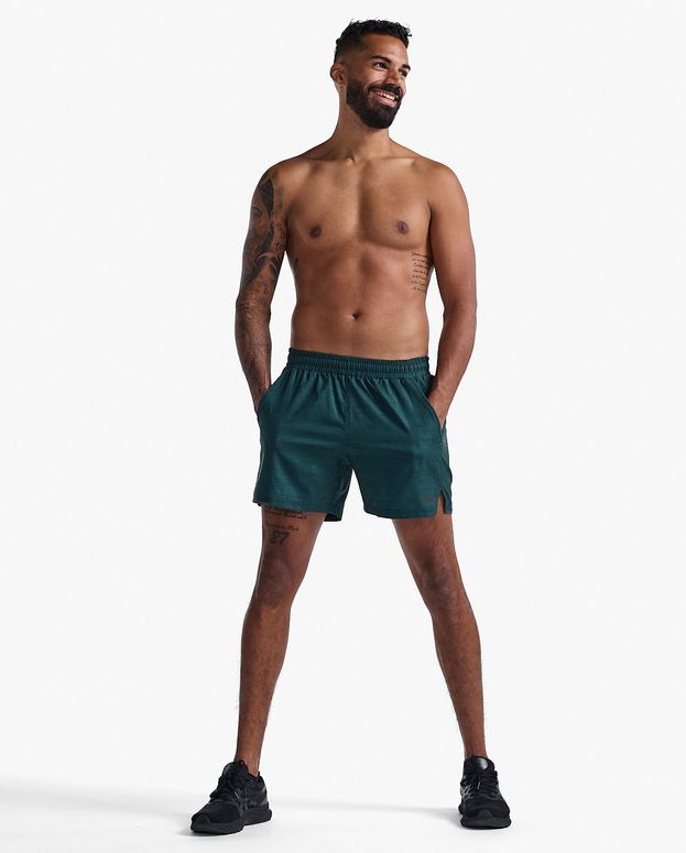 Шорты 2XU Aero 5 Inch Shorts мужские - 4