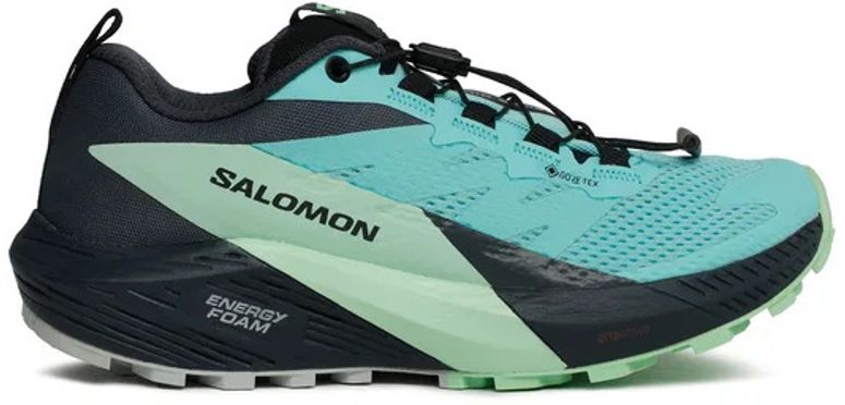 Кросівки Salomon SENSE RIDE 5 GTX W - 1