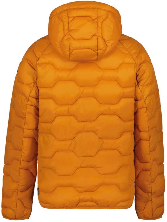 Куртка ICEPEAK 56086_515_I_490 мужская - 3