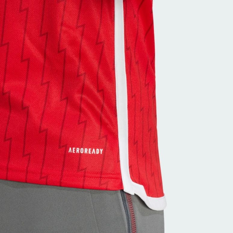 Футболка Adidas AFC H JSY чоловіча - 7