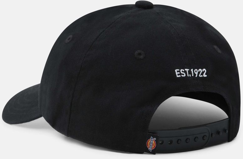 Кепка Dickies HARDWICK - 2