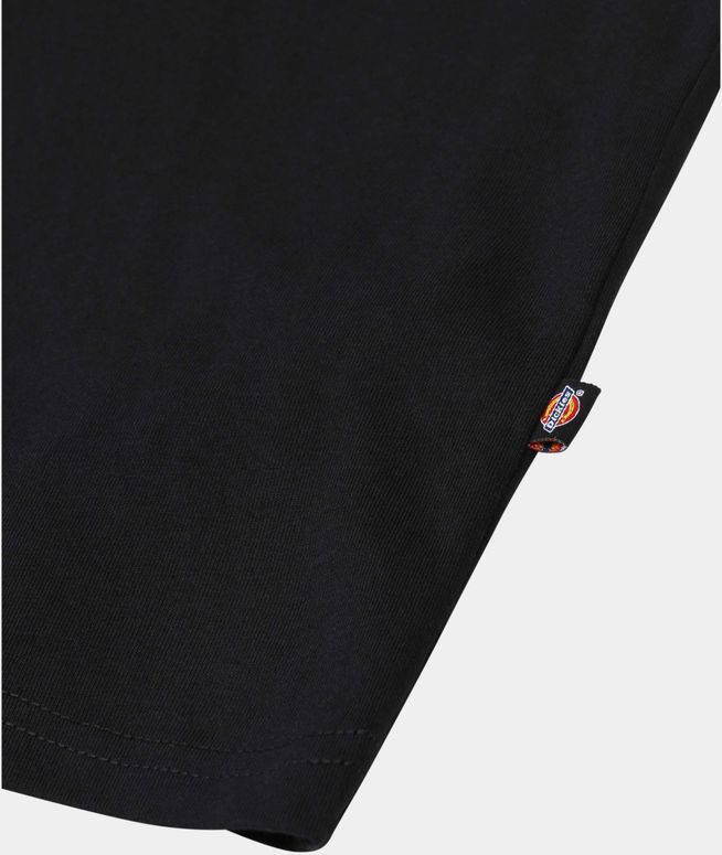 Футболка Dickies SS MAPLETON TEE чоловіча - 4