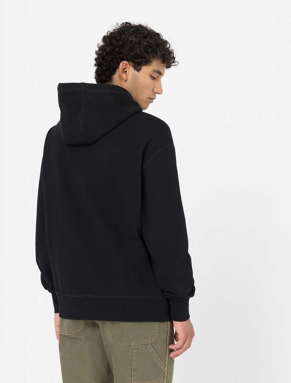 Джемпер Dickies MILLERSBURG HOODIE мужской - 2