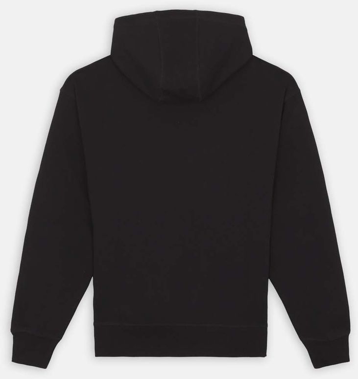Джемпер Dickies MILLERSBURG HOODIE мужской - 4