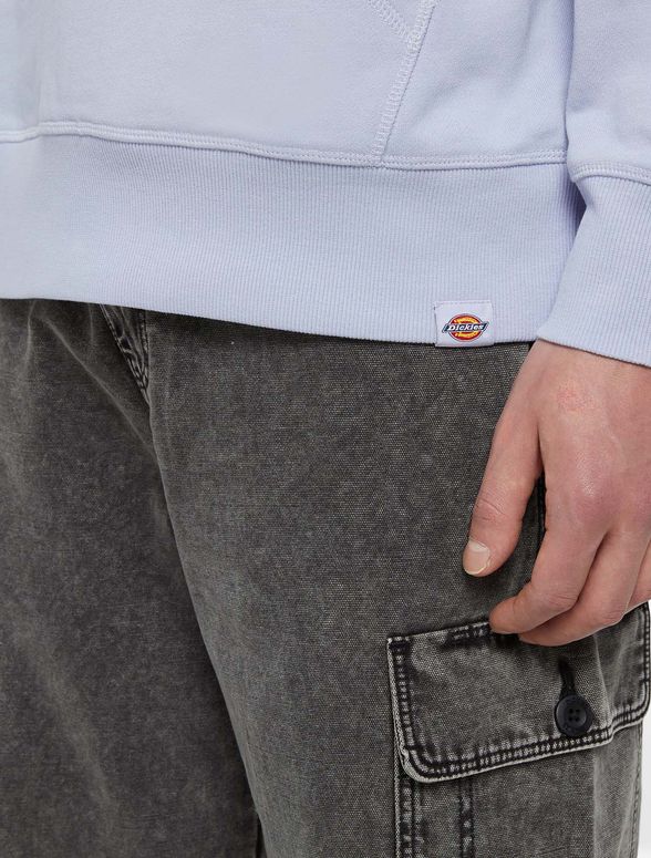 Джемпер Dickies MILLERSBURG HOODIE мужской - 5