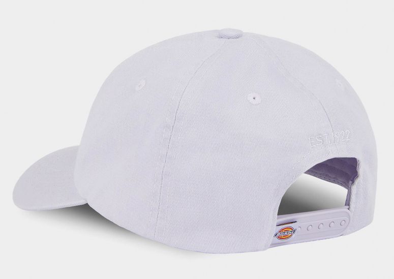 Кепка Dickies HARDWICK - 2