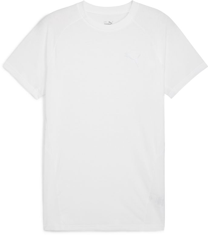 Футболка Puma EVOSTRIPE Tee чоловіча - 1