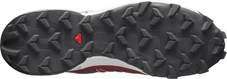 Кроссовки Salomon SPEEDCROSS 5 GTX мужские - 5