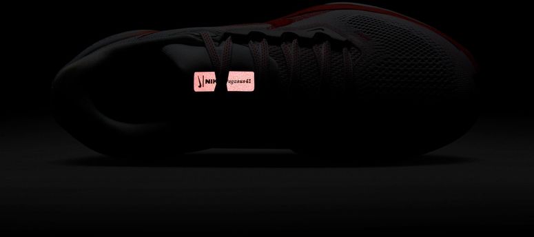 Кроссовки Nike NIKE PEGASUS 41 женские - 15
