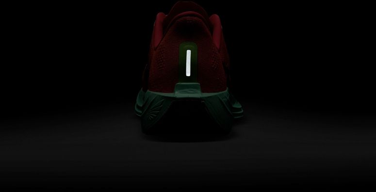 Кроссовки Nike Nike Pegasus Plus мужские - 12