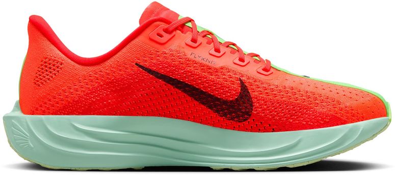 Кроссовки Nike Nike Pegasus Plus мужские - 2
