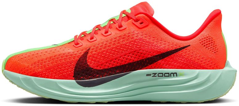 Кроссовки Nike Nike Pegasus Plus мужские - 3