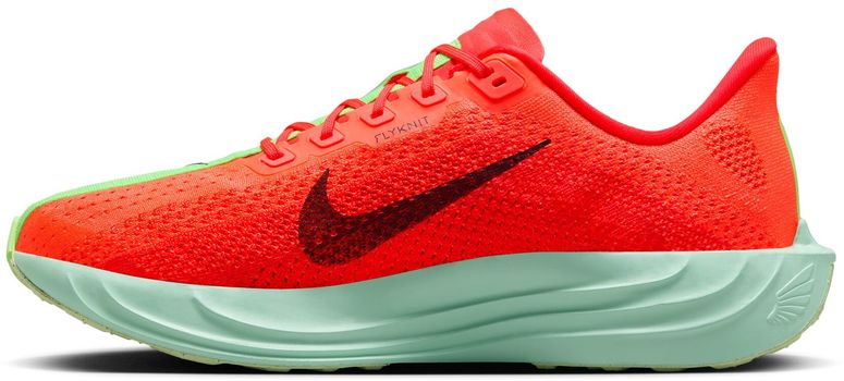 Кроссовки Nike Nike Pegasus Plus мужские - 4
