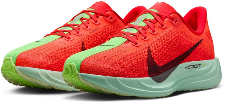 Кроссовки Nike Nike Pegasus Plus мужские - 5