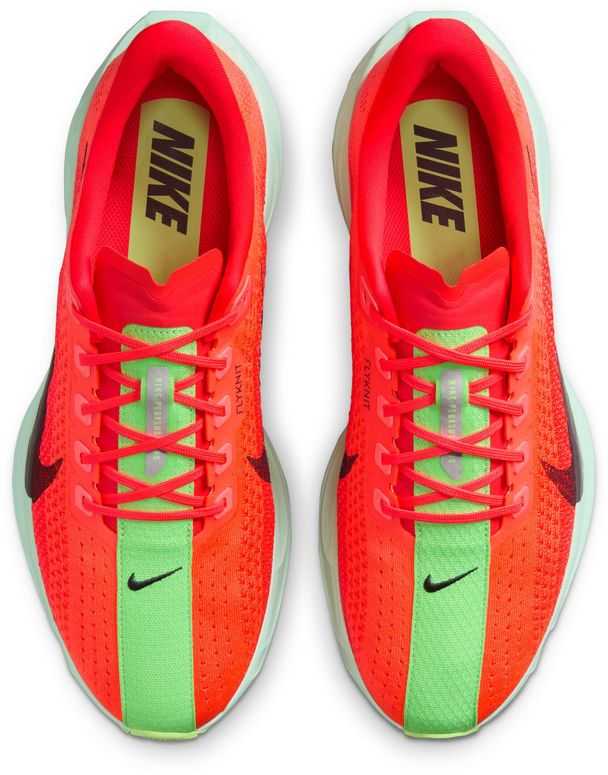 Кроссовки Nike Nike Pegasus Plus мужские - 7