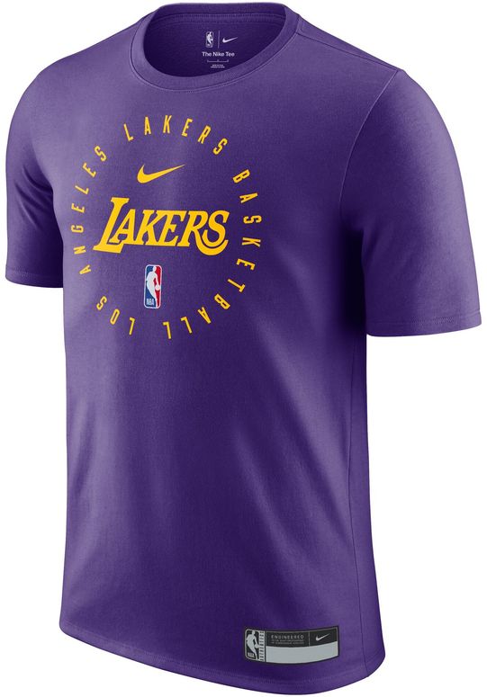 Футболка Nike LAL M NK rLGD PRTC SS TEE 24 чоловіча - 1