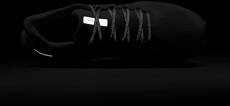 Кроссовки Nike NIKE PEGASUS 41 мужские - 14