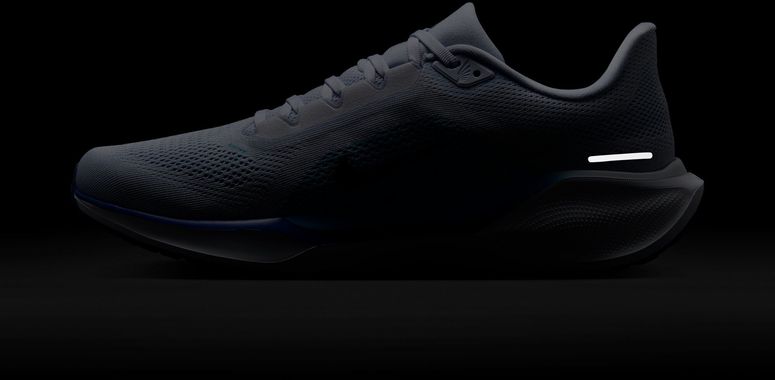 Кроссовки Nike NIKE PEGASUS 41 мужские - 14