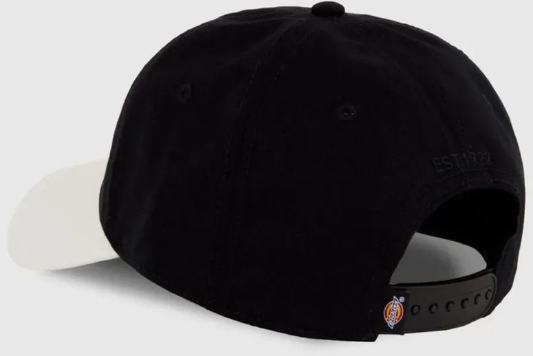 Кепка Dickies HARDWICK 2 TONE - 2