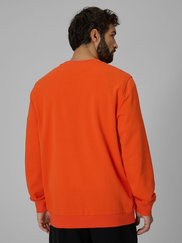 Джемпер 4F SWEATSHIRT  M2237 мужской - 2