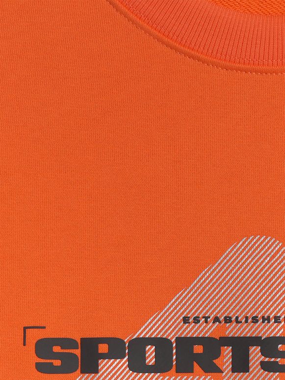 Джемпер 4F SWEATSHIRT  M2237 мужской - 9