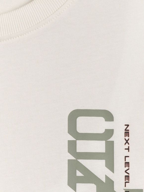 Футболка 4F TSHIRT  M2665 чоловіча - 6