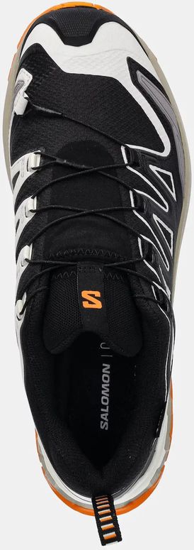 Кросівки Salomon XA PRO 3D V9 GTX чоловічі - 5