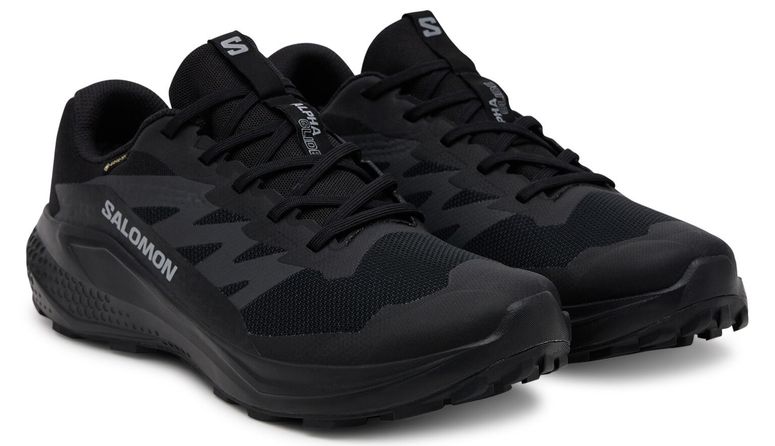 Кросівки Salomon ALPHAGLIDE GTX чоловічі - 2