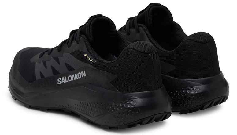 Кросівки Salomon ALPHAGLIDE GTX чоловічі - 3