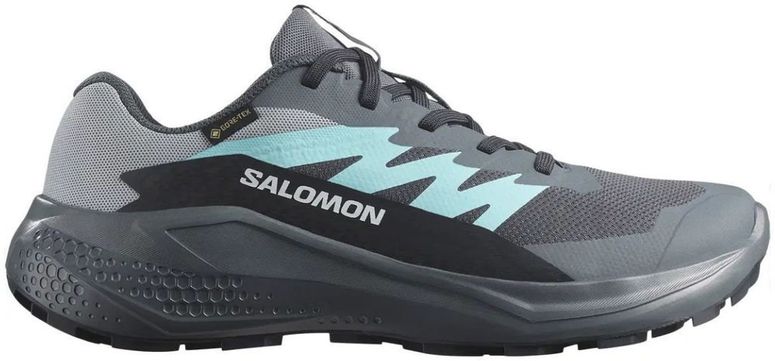 Кроссовки Salomon ALPHAGLIDE GTX W женские - 1