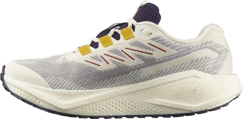 Кросівки Salomon AERO BLAZE 3 GRVL GTX чоловічі - 2