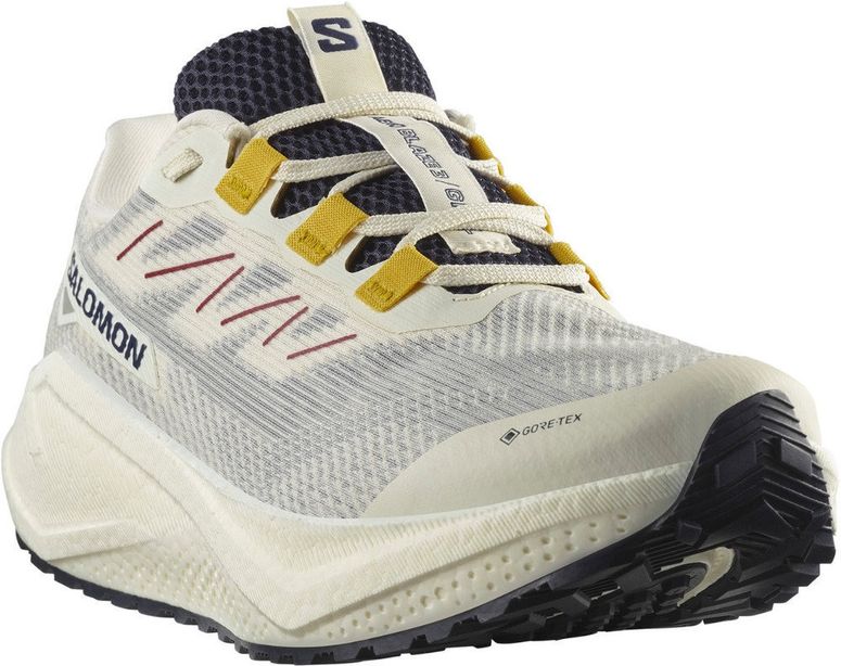 Кросівки Salomon AERO BLAZE 3 GRVL GTX чоловічі - 3