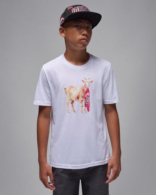 Футболка Jordan MJ FLT GOAT SS CREW детская - 1