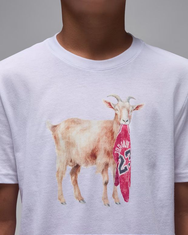 Футболка Jordan MJ FLT GOAT SS CREW детская - 4