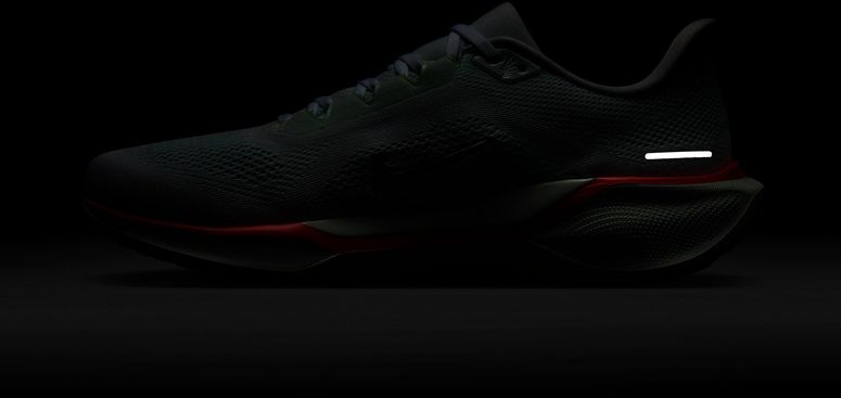 Кроссовки Nike NIKE PEGASUS 41 мужские - 14