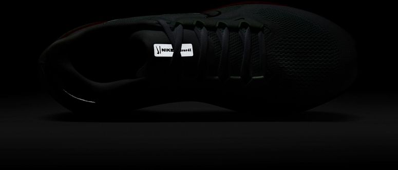 Кроссовки Nike NIKE PEGASUS 41 мужские - 15