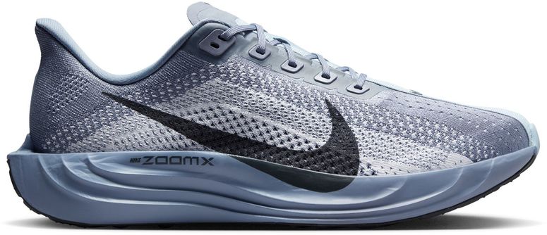 Кроссовки Nike Nike Pegasus Plus мужские - 1