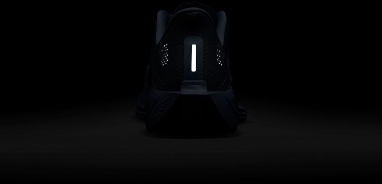 Кроссовки Nike Nike Pegasus Plus мужские - 12