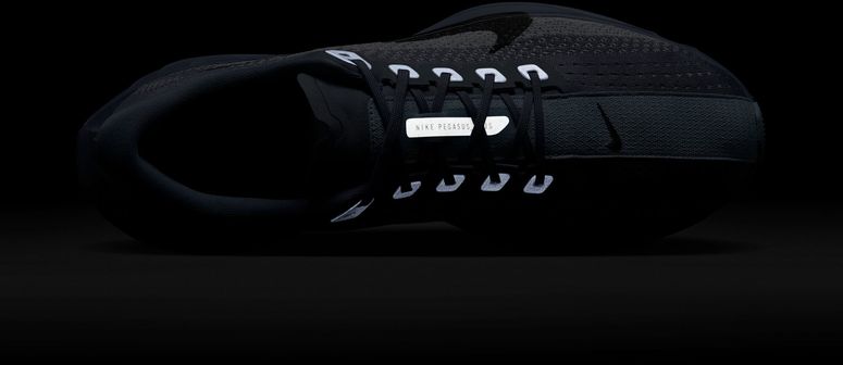 Кроссовки Nike Nike Pegasus Plus мужские - 15