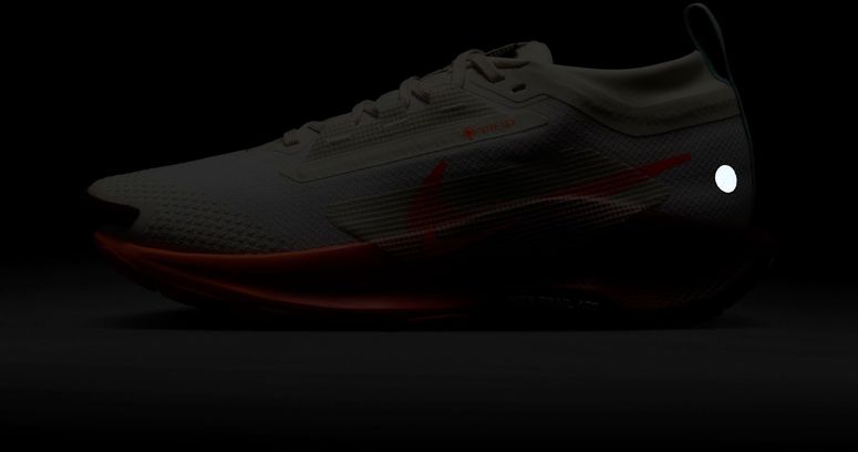 Кроссовки Nike Nike Pegasus Trail 5 GORE-TEX женские - 11