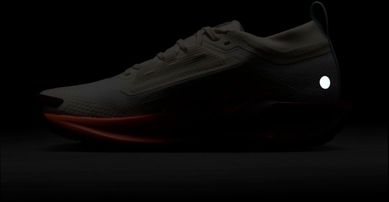 Кроссовки Nike Nike Pegasus Trail 5 GORE-TEX женские - 12