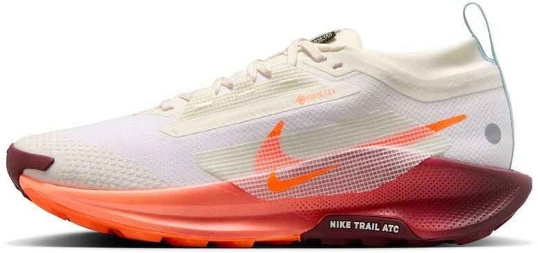Кроссовки Nike Nike Pegasus Trail 5 GORE-TEX женские - 3