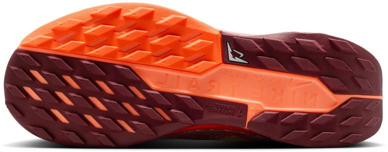 Кроссовки Nike Nike Pegasus Trail 5 GORE-TEX женские - 9