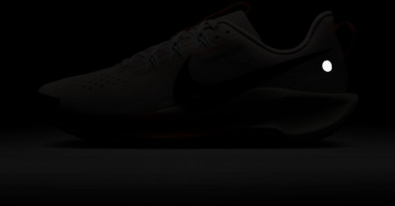 Кроссовки Nike Nike Pegasus Trail 5 мужские - 11