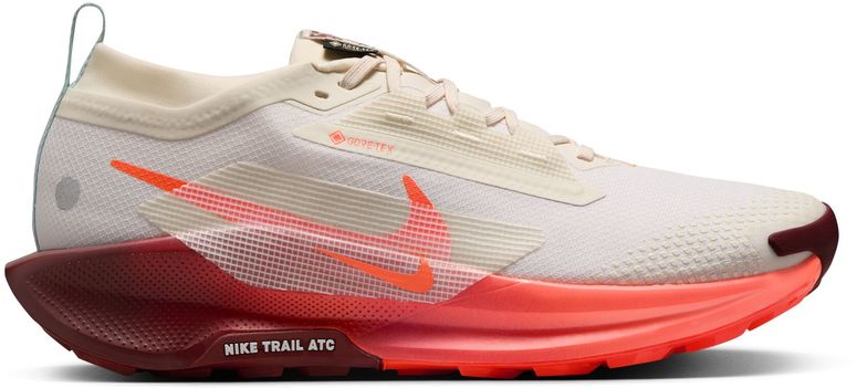 Кроссовки Nike Nike Pegasus Trail 5 GORE-TEX мужские - 1